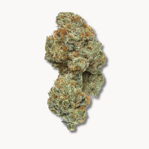 Heavy Z (US Cuts) Nur Online erhältlich!