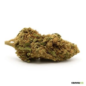 420 Shop Guide