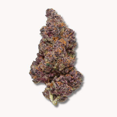 Trop Cherry (US Cuts) Nur Online erhältlich!