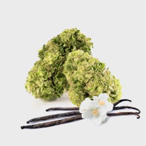 💛 Vanilla Chill Zone 12% CBG